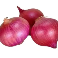 Onion